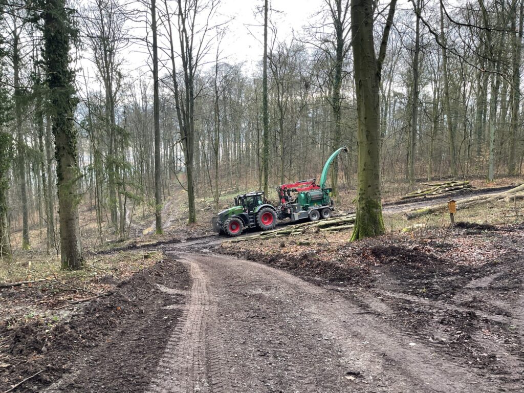 Moilber Häcksler verarbeitet das Kronenholz in Nußloch